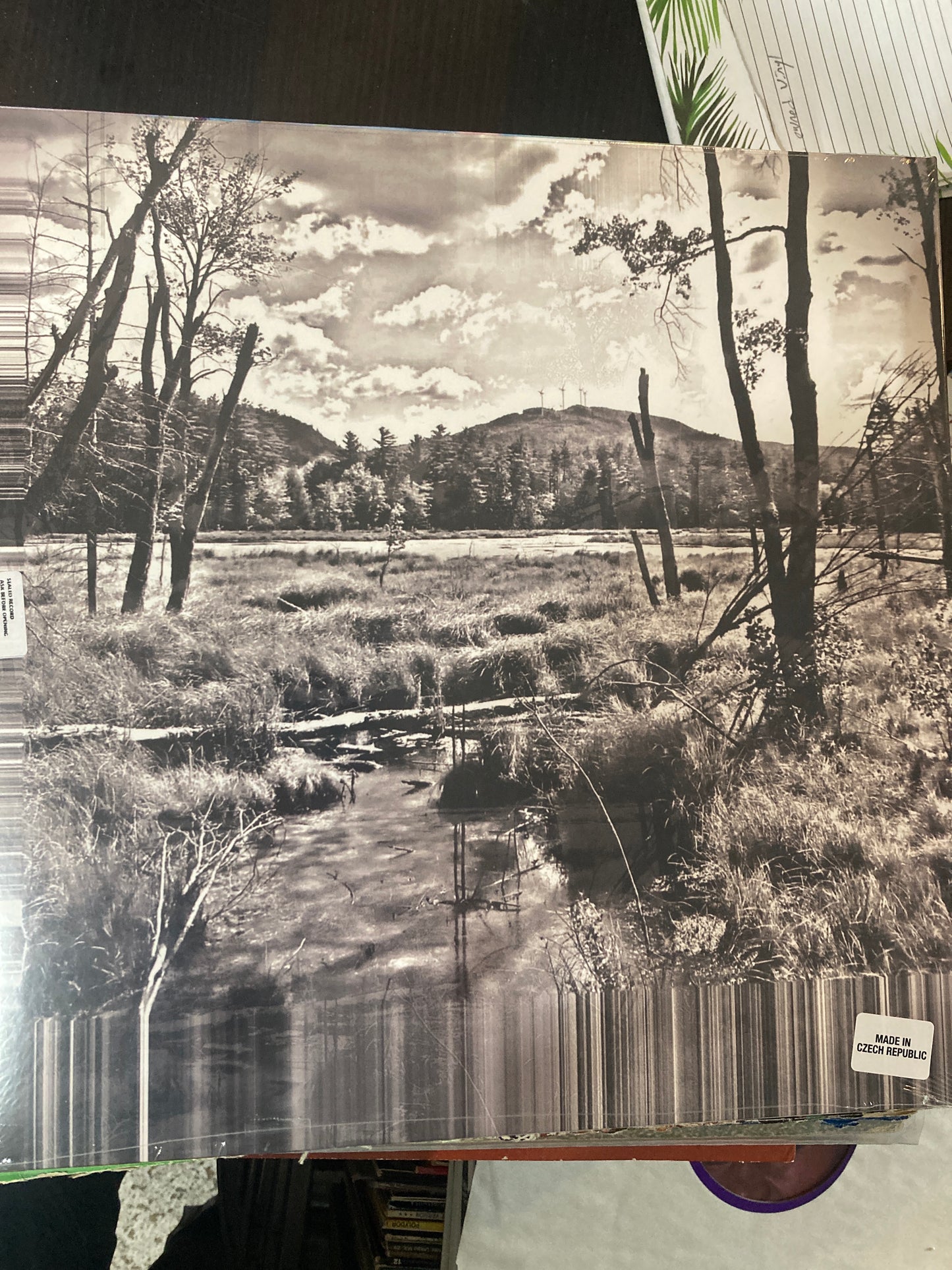 Winnepesaukee