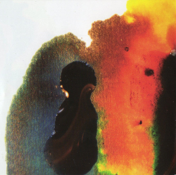 Animal Collective : Strawberry Jam (CD, Album, Tri)