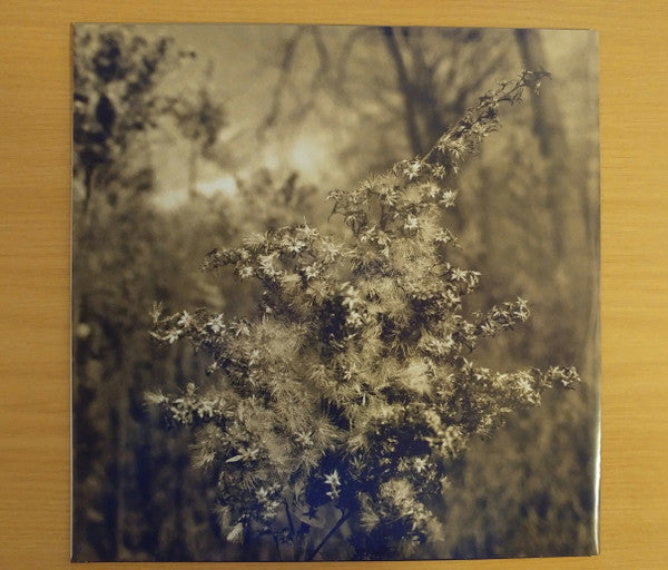 Heinali, Matt Finney : How We Lived (LP, Album)