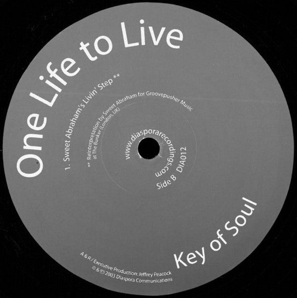 Key Of Soul : One Life To Live (12")