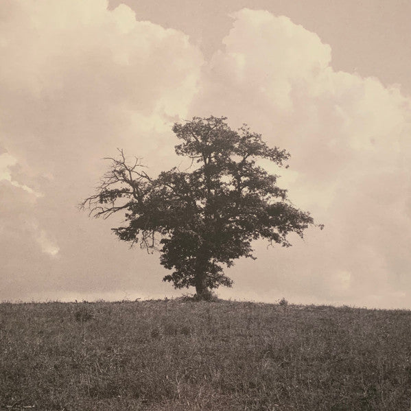 Eversines : In Vivid Motion (2x12", Album, Ltd, 180)