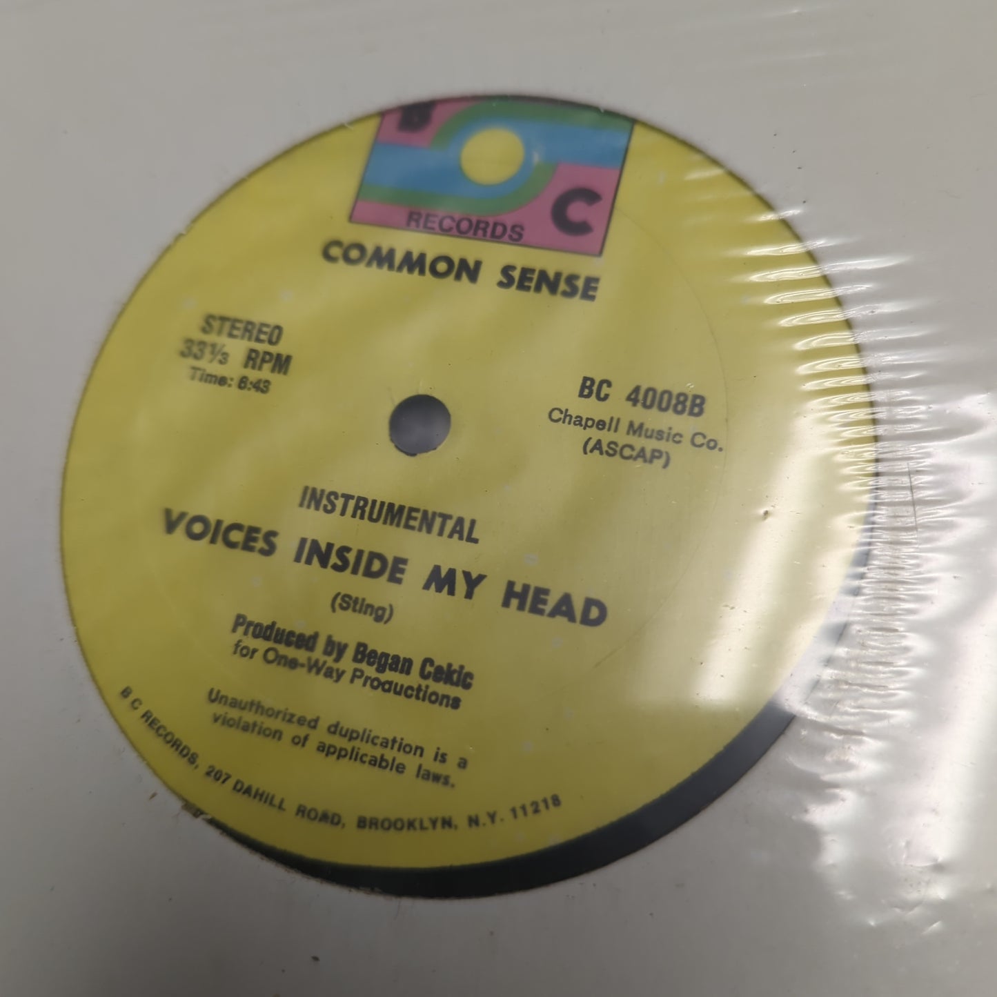 Common Sense - Voices Inside My Head - 12" Vinyl EP