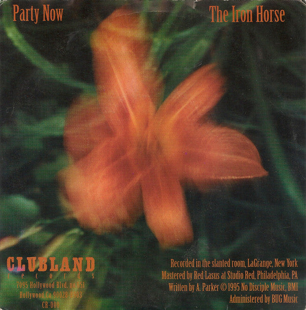 Varnaline : Party Now (7")
