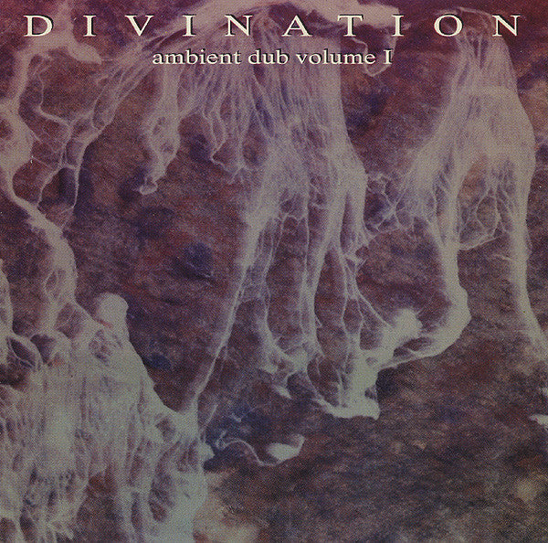 Divination : Ambient Dub Volume I (CD, Album)