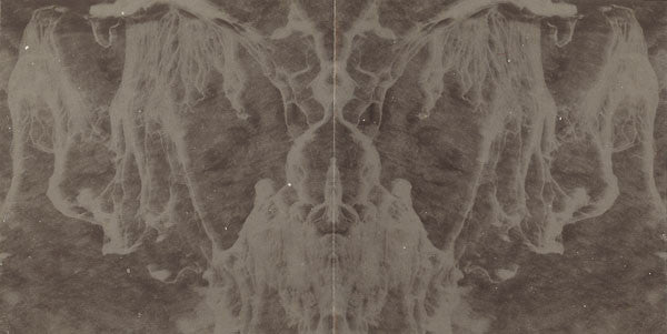 Divination : Ambient Dub Volume I (CD, Album)