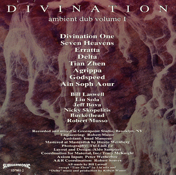 Divination : Ambient Dub Volume I (CD, Album)