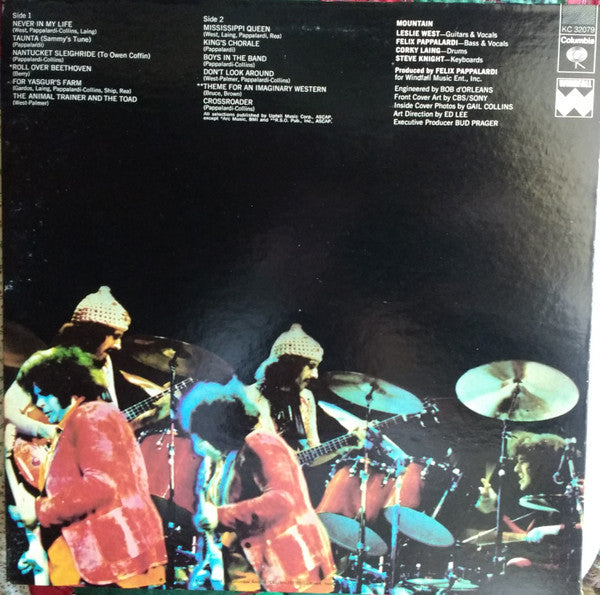 Mountain : The Best Of Mountain (LP, Comp, San)
