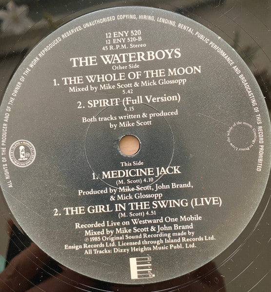 The Waterboys : The Whole Of The Moon (12", Die)