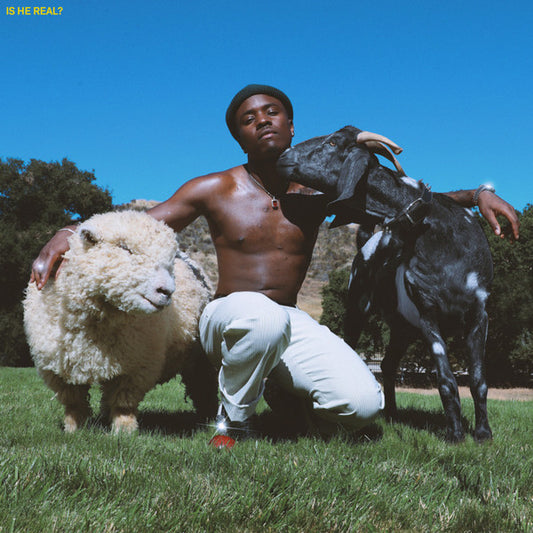 IDK* : Is He Real? (LP, Album)