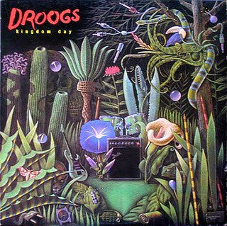 Droogs : Kingdom Day (LP, Album)