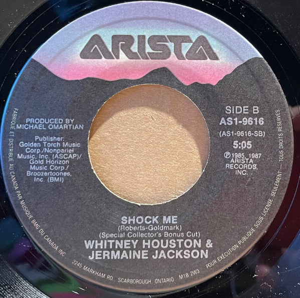Whitney Houston : Didn't We Almost Have It All (7", Single)