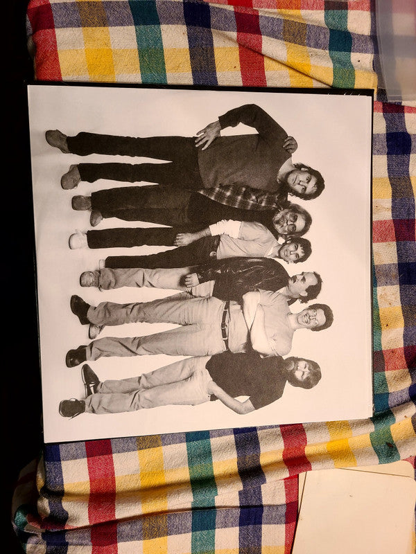 Grateful Dead, The : In The Dark (LP,Album,Limited Edition,Reissue,Remastered,Stereo)