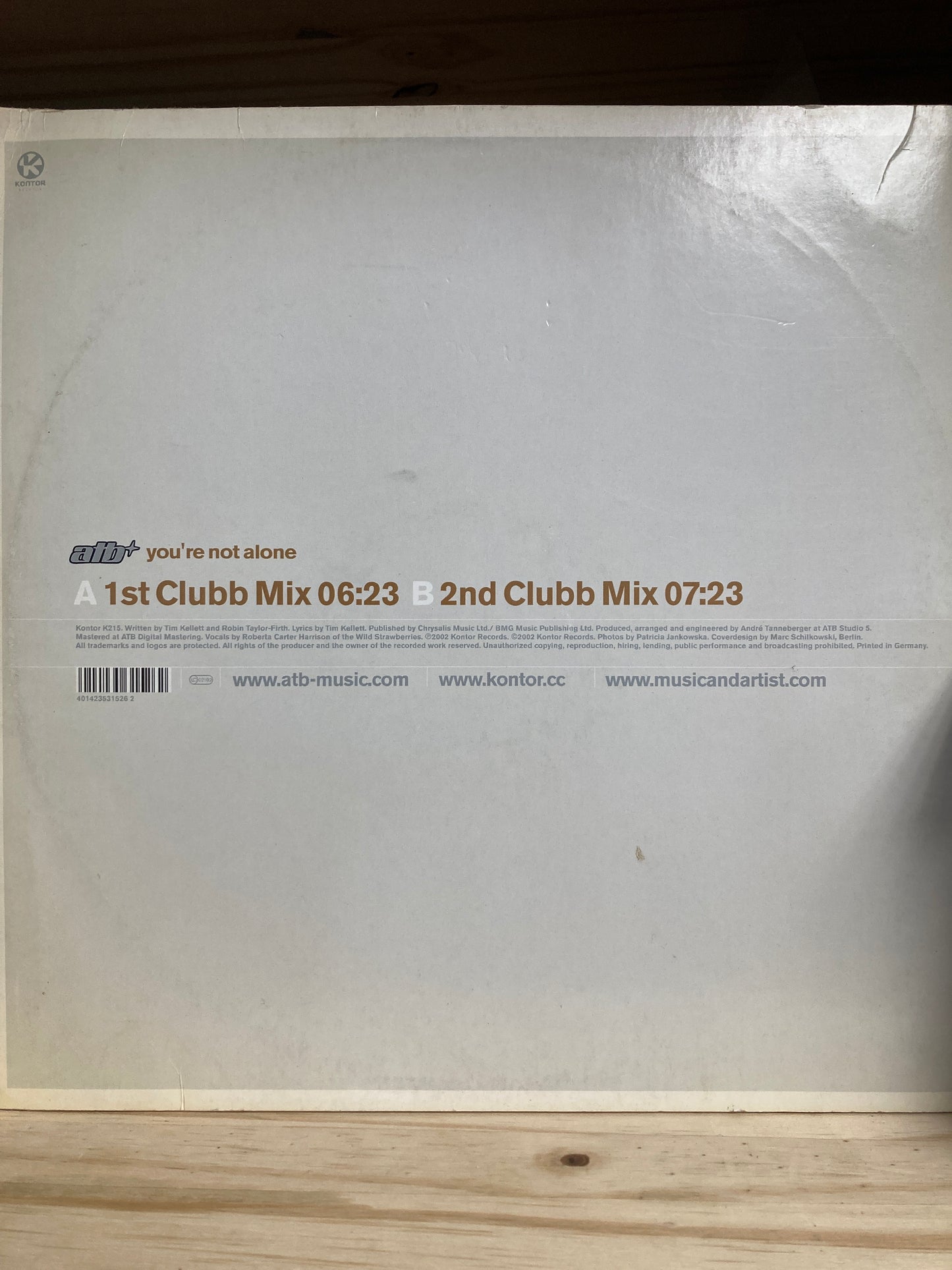 ATB – You're Not Alone - 12" Vinyl EP