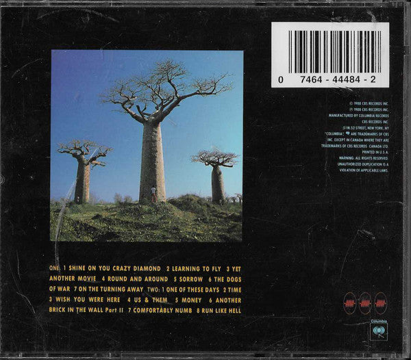 Pink Floyd : Delicate Sound Of Thunder (2xCD, Album)