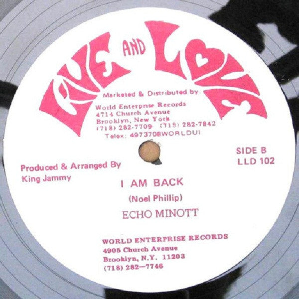 Admiral Bailey / Echo Minott : Winey Winey / I Am Back (12")