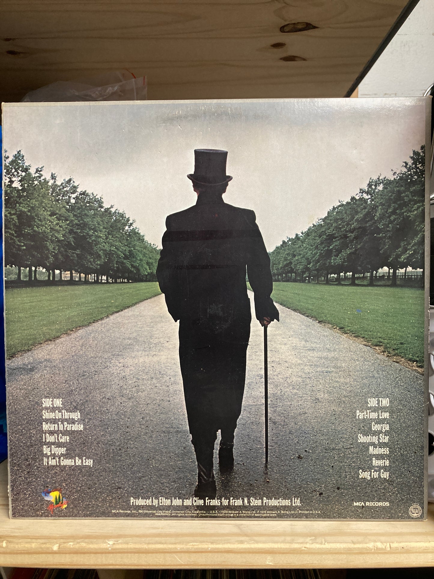 Elton John – A Single Man - 12" Vinyl (LP)