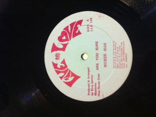 Wicker Man* / Little John : Are You Sure / No Thing Like No One (12", Max)