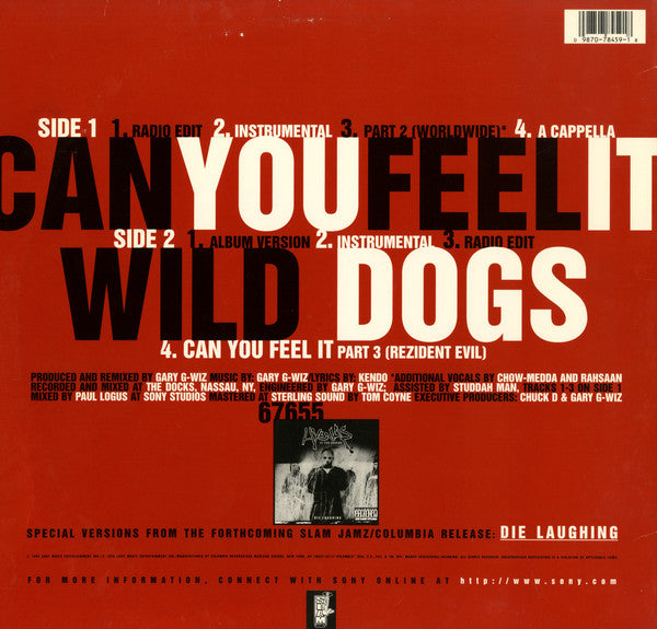 Hyenas In The Desert : Can You Feel It (12")