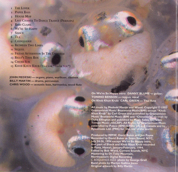 Medeski Martin and Wood* : Friday Afternoon In The Universe (CD, Album)