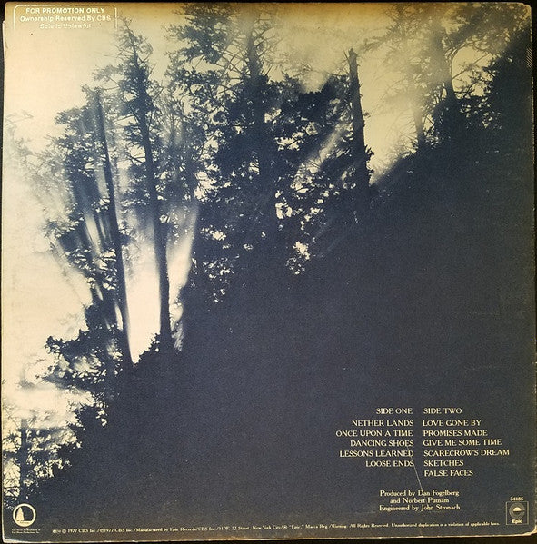 Dan Fogelberg : Nether Lands (LP, Album, Promo, Gat)