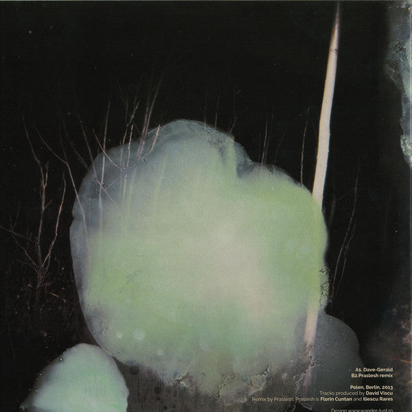 David Viscu : Gerald EP (12",EP,33 ⅓ RPM)