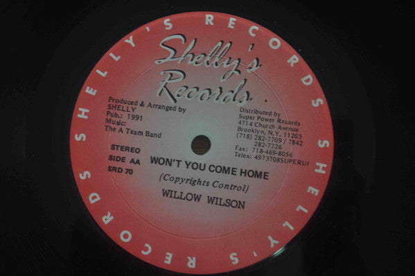 Nardo Ranks / Willow Wilson : Hold It Down / Won't You Come Home (12")