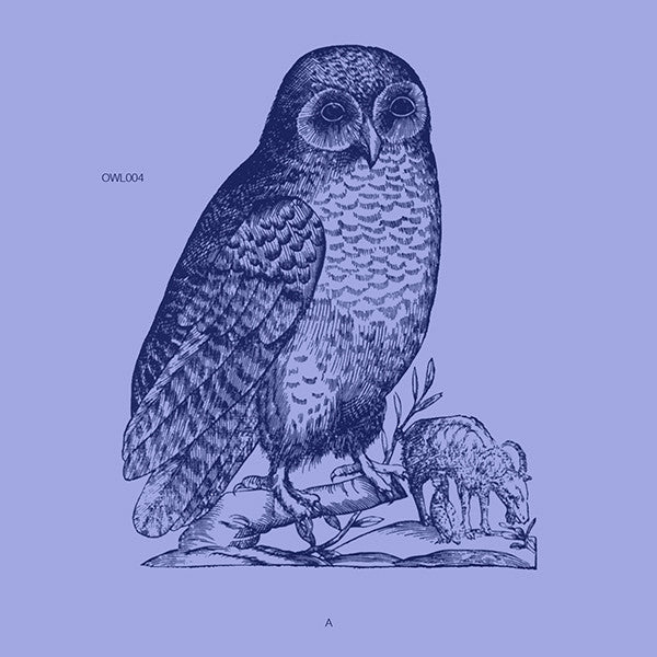 Unknown Artist : Untitled (12")