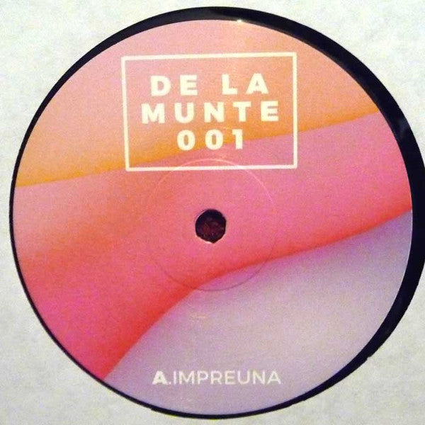 De La Munte : Impreuna / N-Am Stiut (12")