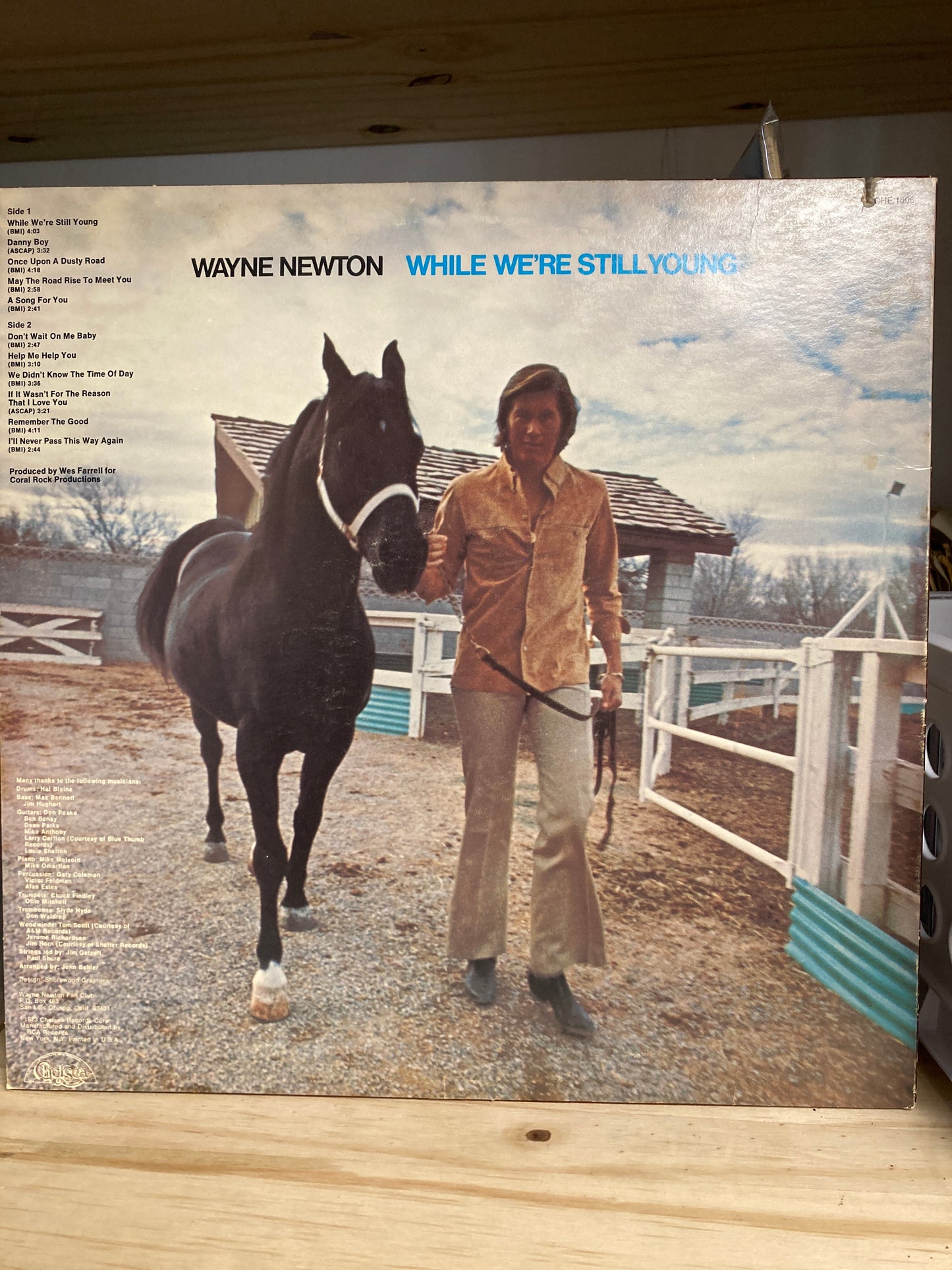 Wayne Newton – While We're Still Young - 12" LP