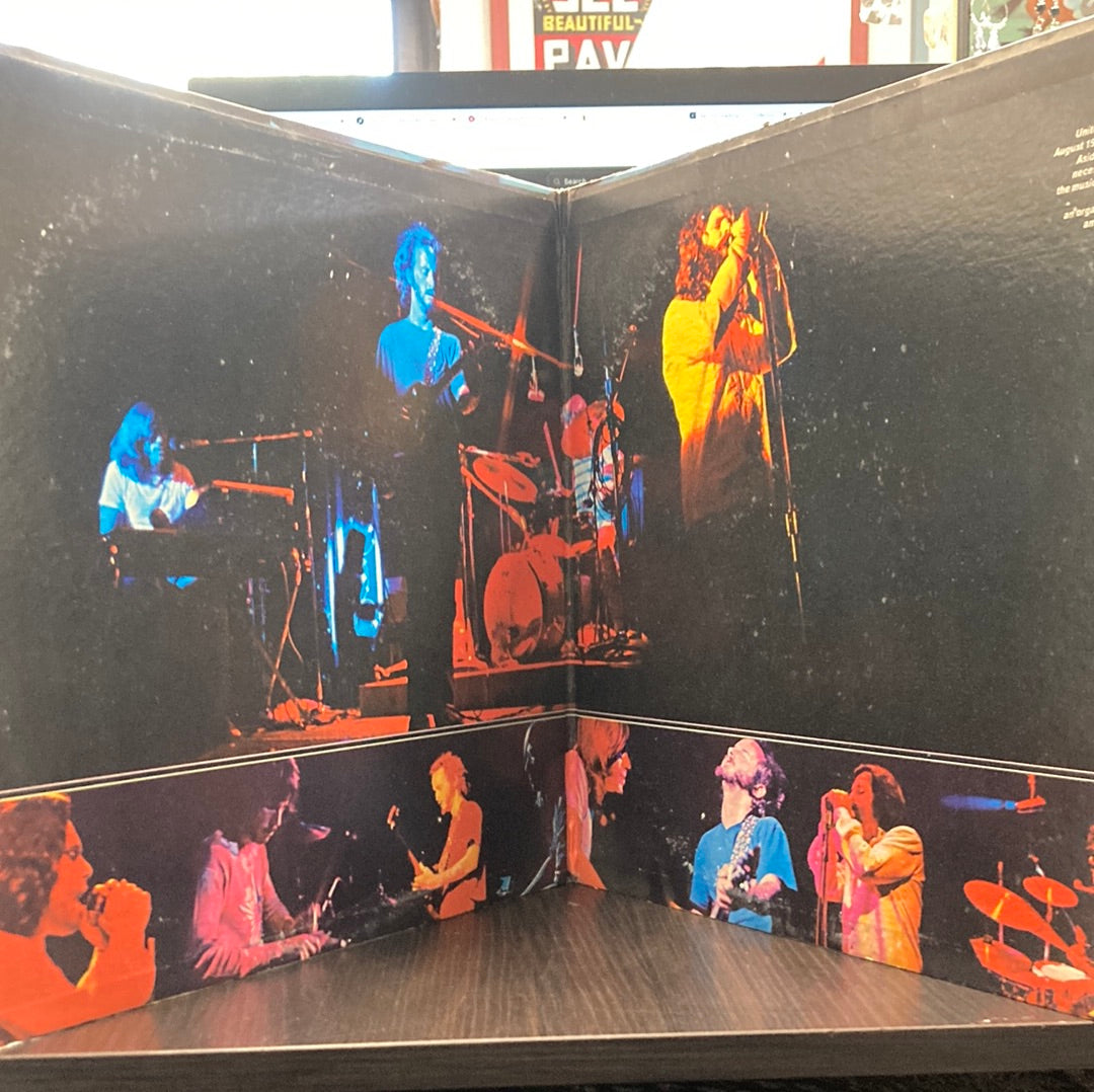 The Doors - Absolutely Live - 2 x 12" Vinyl LP, Album