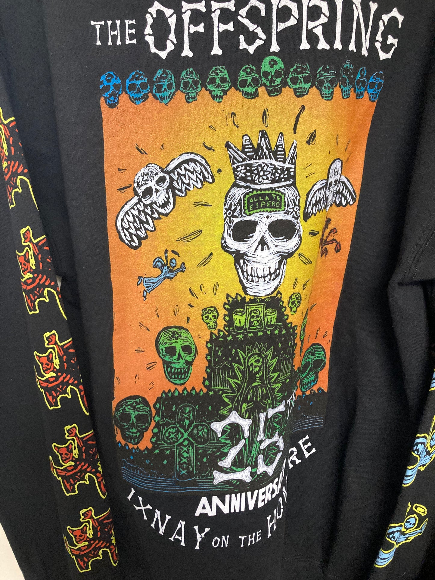 Offspring Ixnay on the hombre 25th anniversay hoodie