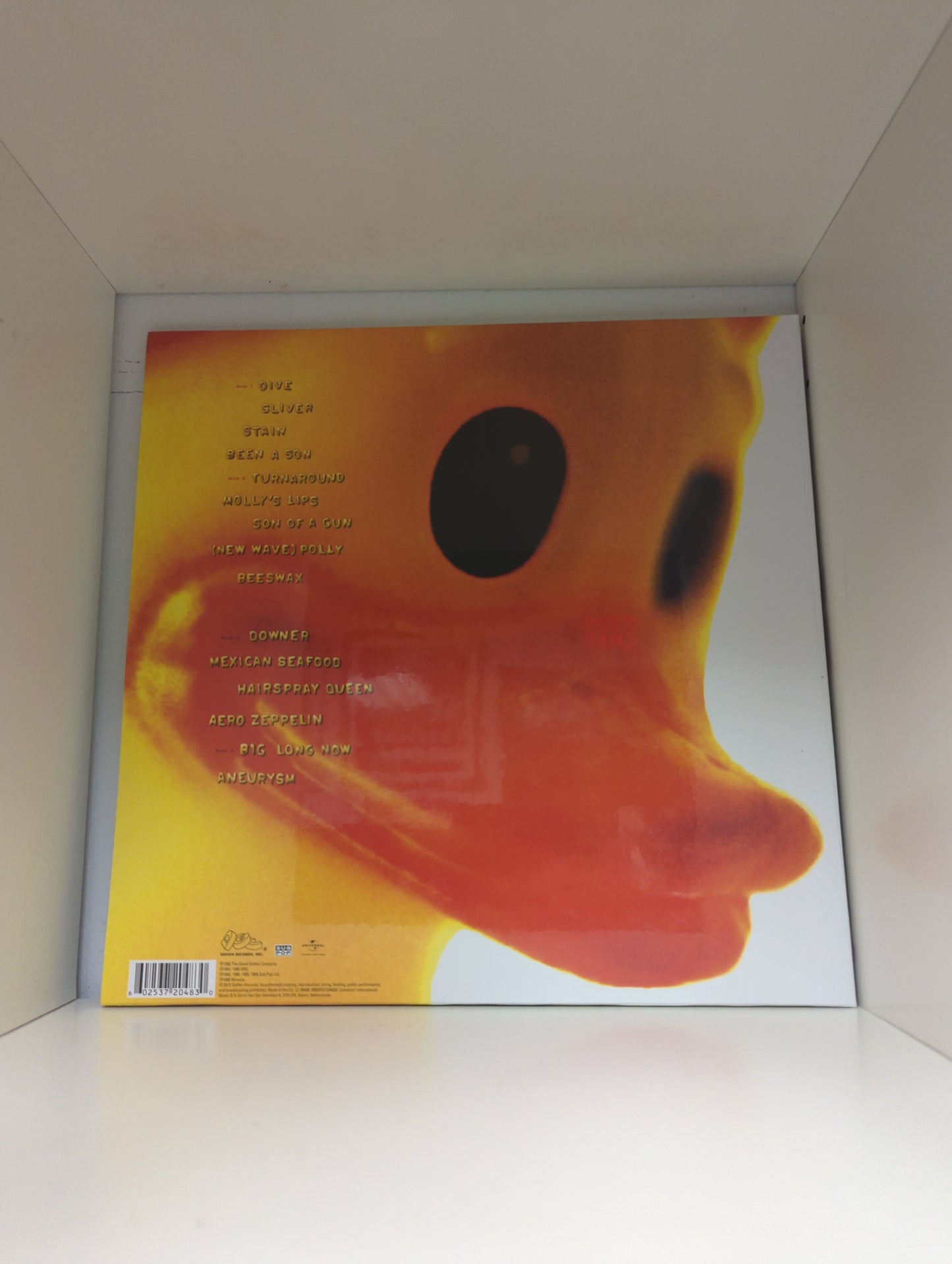 Nirvana - Incesticide - Vinyl LP