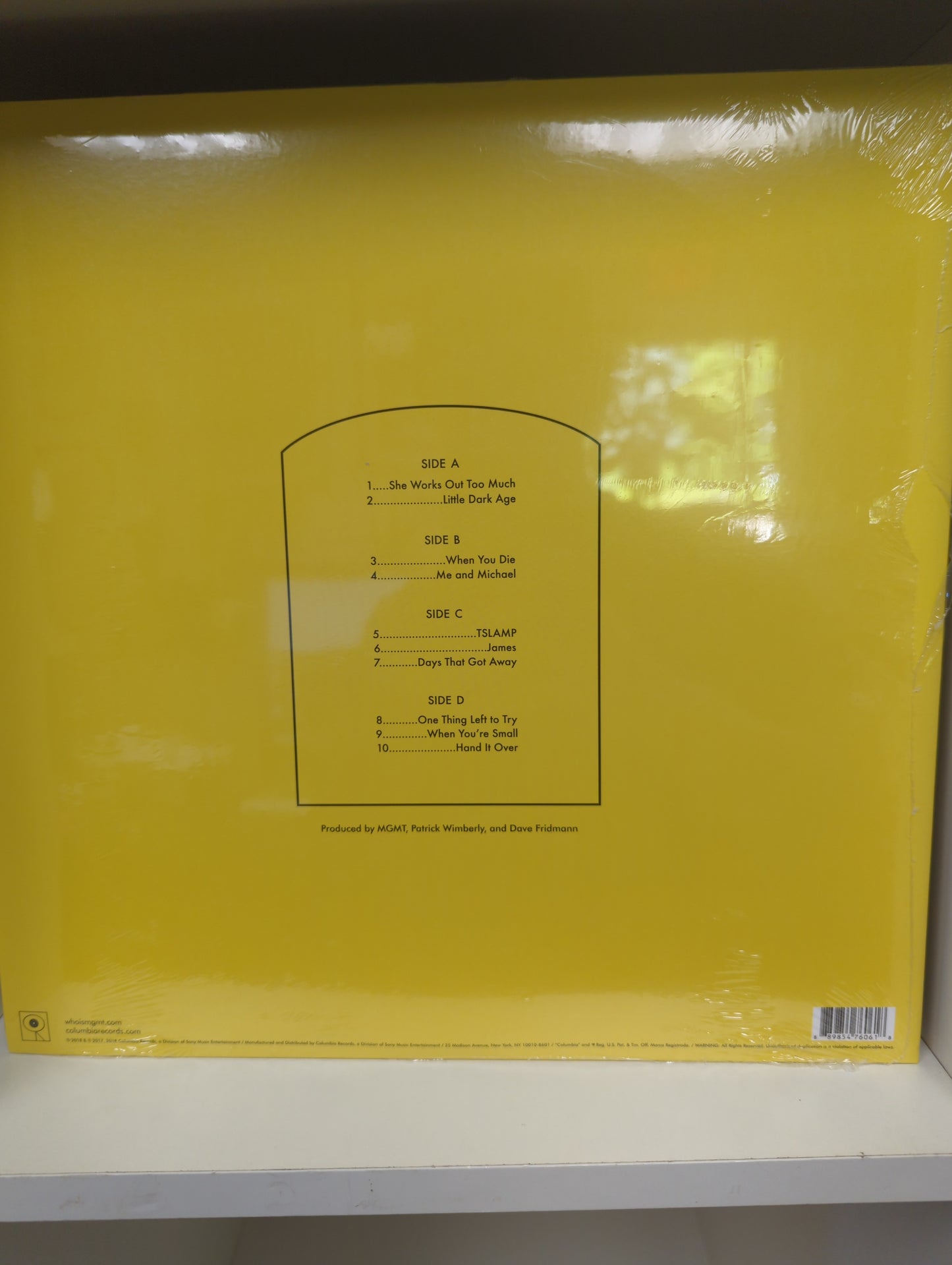 MGMT - Little Dark Age - 2x 12" Vinyl LP