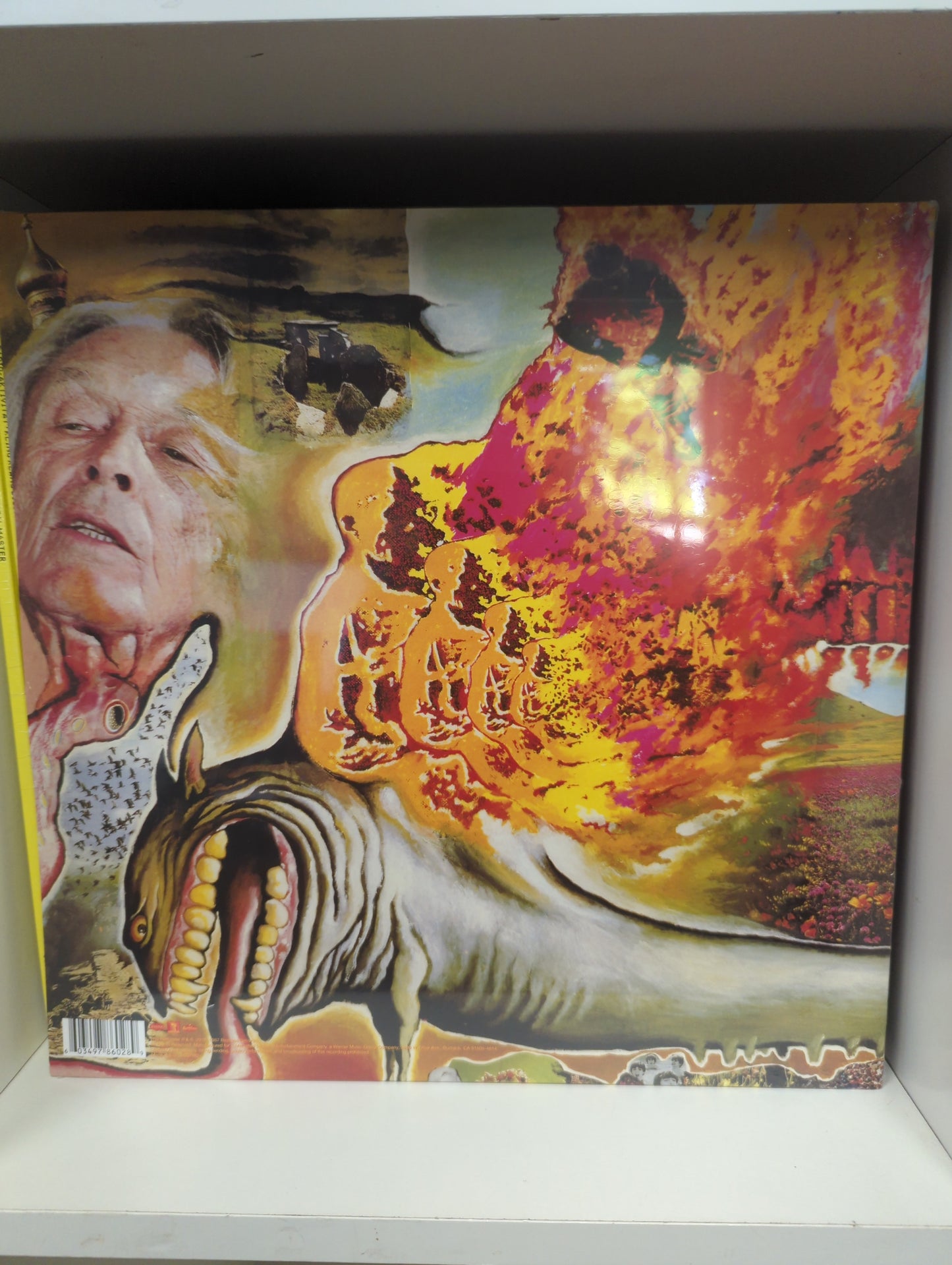 The Flaming Lips - Oh My Gawd!!!... The Flaming Lips - 12" Vinyl LP