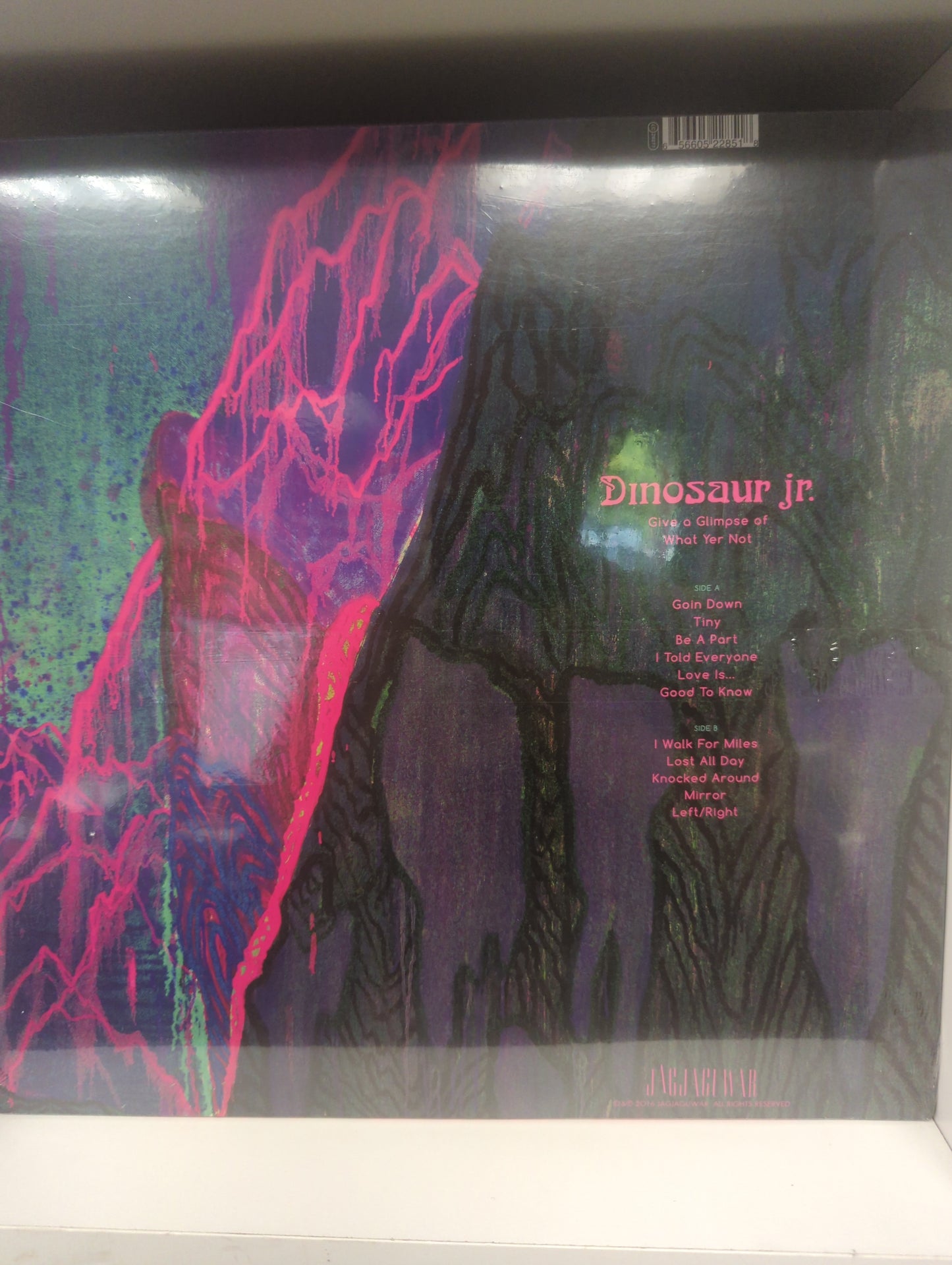 Dinosaur Jr- Give a glimpse of what yer not 12'' vinyl LP