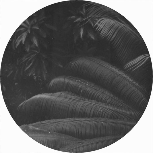 Ben Kaczor : Mind Fiction EP (12", EP)