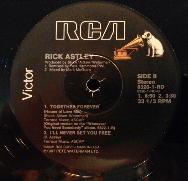 Rick Astley : Together Forever (12")