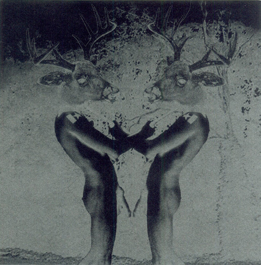 Deerhunter : Deerhunter (CD, Album, Enh)