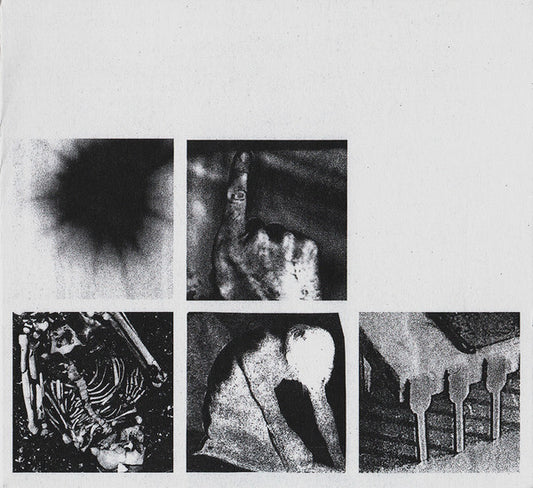 Nine Inch Nails : Bad Witch (CD, Album)