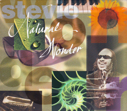 Stevie Wonder : Natural Wonder - Live In Concert (2xCD, Album)