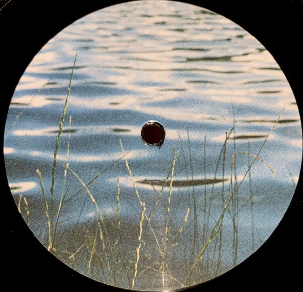 Eversines : In Vivid Motion (2x12", Album, Ltd, 180)