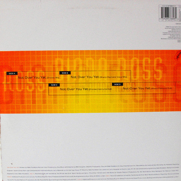 Diana Ross : Not Over You Yet (2x12")