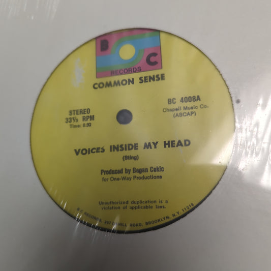 Common Sense - Voices Inside My Head - 12" Vinyl EP