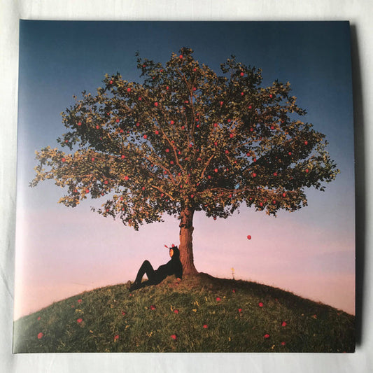 slowthai : Tyron (12", Red + 12", Yel + Album, Dlx)