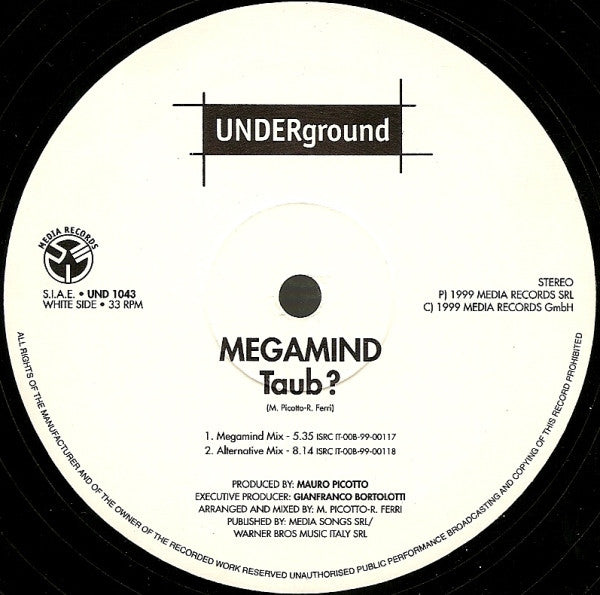 Megamind : Taub? (12")