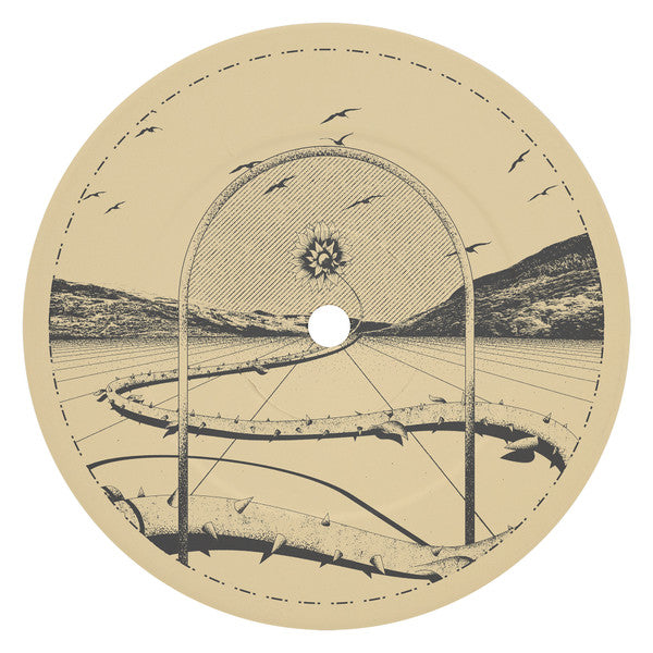 Quasar (33) / Cristo (9) : Swearing EP (12", EP, Gol)
