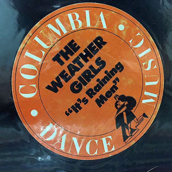 The Weather Girls : It's Raining Men (12", Promo)