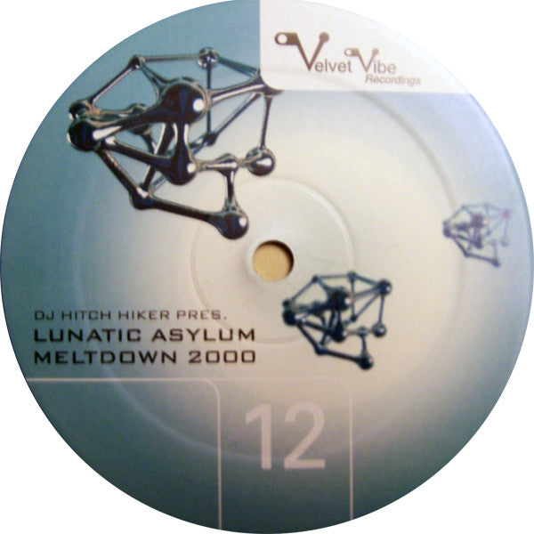 DJ Hitch Hiker Pres. Lunatic Asylum : Meltdown 2000 (12")