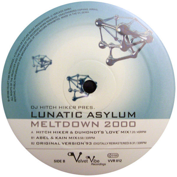 DJ Hitch Hiker Pres. Lunatic Asylum : Meltdown 2000 (12")
