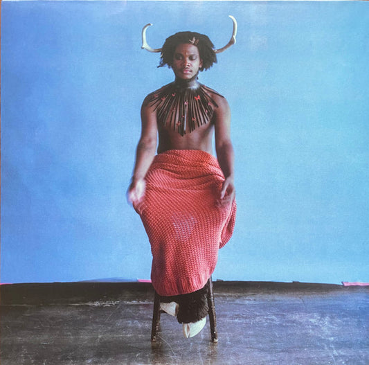 Shamir (2) : Heterosexuality (LP, Album, Pin)